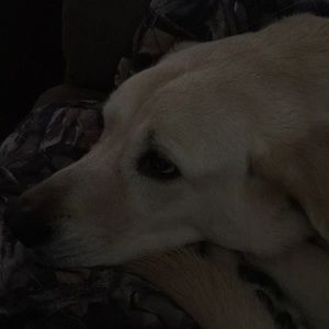 Meet your Posher, Katherine